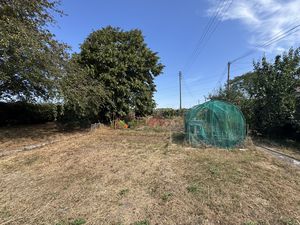 VEGETABLE PLOT- click for photo gallery